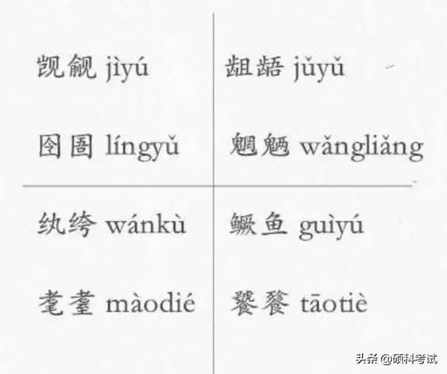 get_img?key=695cc0969ed2ff4c0c9d292e