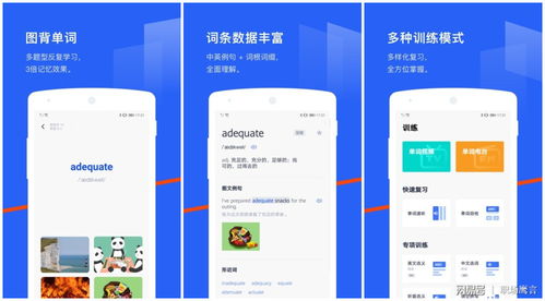 get_img?key=695cc0d09ed2ff4c0c9d2fda