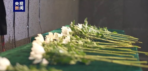 get_img?key=695cc1139ed2ff4c0c9d37a8