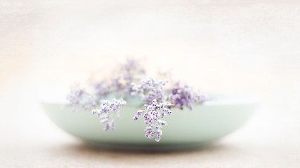 get_img?key=695cc15b9ed2ff4c0c9d3f45