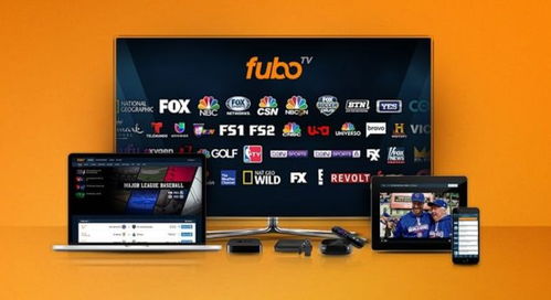 get_img?key=695cc1689ed2ff4c0c9d40f3