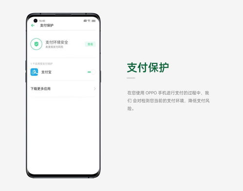 get_img?key=695cc1b39ed2ff4c0c9d4906