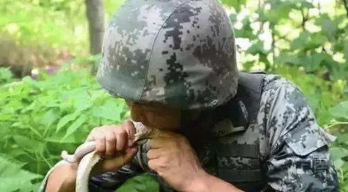 get_img?key=695cc1da9ed2ff4c0c9d4e37