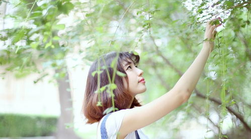 get_img?key=695cc1ee9ed2ff4c0c9d4fd6