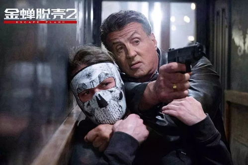 get_img?key=695cc2a59ed2ff4c0c9d6aea