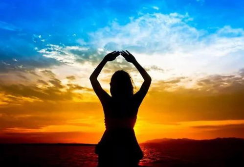 get_img?key=695cc3c29ed2ff4c0c9d8404