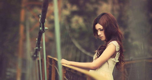 get_img?key=695cc8a69ed2ff4c0c9ddd23