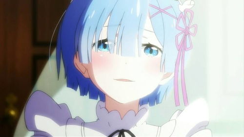 get_img?key=695cca8f9ed2ff4c0c9e04a1