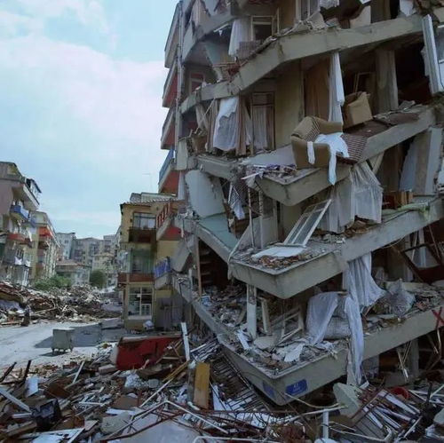 get_img?key=695ccaf69ed2ff4c0c9e10dc