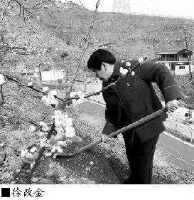 get_img?key=695ccb3b9ed2ff4c0c9e1745