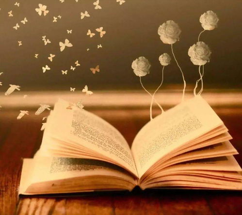 get_img?key=695ccb3b9ed2ff4c0c9e1750