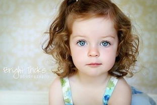 get_img?key=695ccba29ed2ff4c0c9e2171