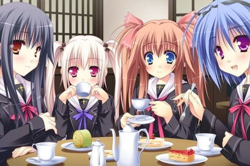 get_img?key=695ccbc49ed2ff4c0c9e2499