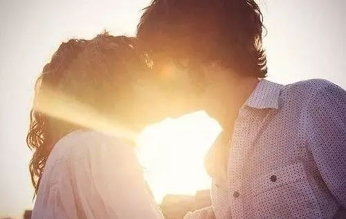 get_img?key=695ccbc59ed2ff4c0c9e24dc