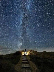 get_img?key=695ccc049ed2ff4c0c9e2b08