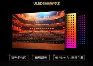 get_img?key=695ccc5e9ed2ff4c0c9e32ff