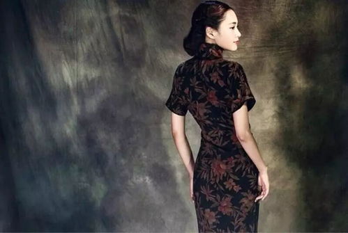 get_img?key=695ccc999ed2ff4c0c9e3841