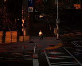 get_img?key=695cccad9ed2ff4c0c9e3a6b