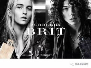 get_img?key=695ccd6d9ed2ff4c0c9e4e89