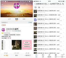 get_img?key=695ccd989ed2ff4c0c9e54a5