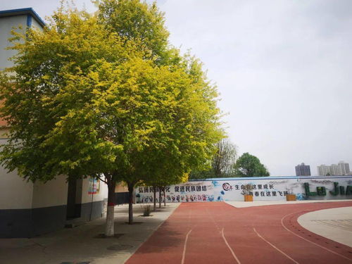 get_img?key=695ccdd69ed2ff4c0c9e5ad0