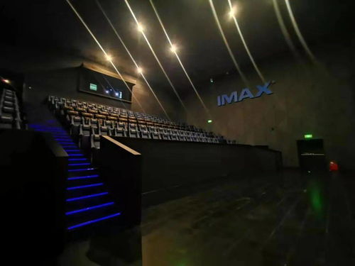 get_img?key=695ccde99ed2ff4c0c9e5d4f