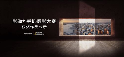 get_img?key=695cced59ed2ff4c0c9e7624