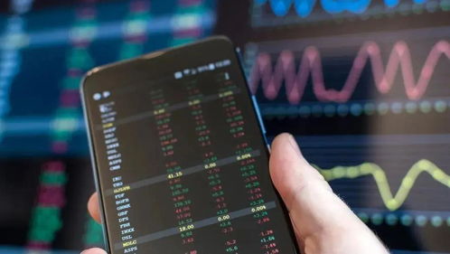 get_img?key=695cced89ed2ff4c0c9e769d