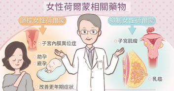 get_img?key=695ccefd9ed2ff4c0c9e79eb