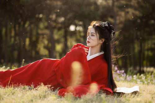 get_img?key=695ce48a9ed2ff4c0c9fea29