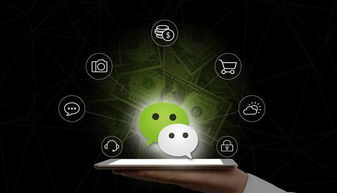 get_img?key=695ce4b39ed2ff4c0c9fed6c