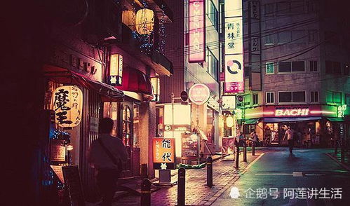 get_img?key=695ce4b59ed2ff4c0c9fedd2