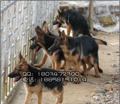 get_img?key=695ce4e79ed2ff4c0c9ff1d5