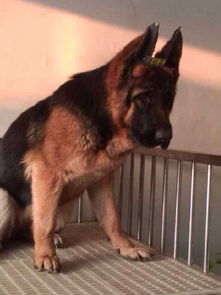 get_img?key=695ce4e79ed2ff4c0c9ff1dd