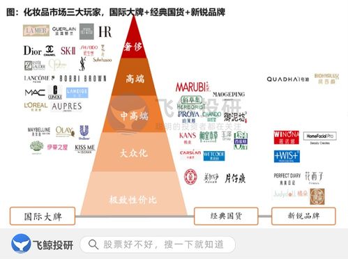 get_img?key=695ce4e89ed2ff4c0c9ff220