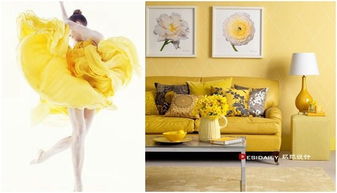 get_img?key=695ce50d9ed2ff4c0c9ff50f