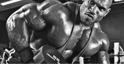 get_img?key=695ce56d9ed2ff4c0c9ffd41