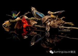 get_img?key=695ce5949ed2ff4c0ca00017