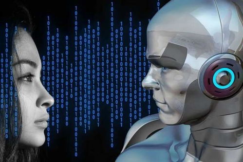 get_img?key=695ce6dc9ed2ff4c0ca016dc