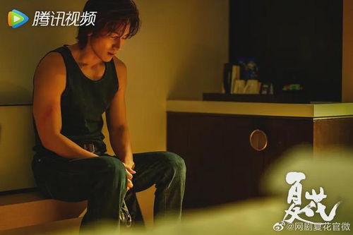 get_img?key=695ce6dd9ed2ff4c0ca016ed