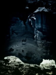 get_img?key=695ce7299ed2ff4c0ca01f12