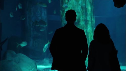 get_img?key=695ce72a9ed2ff4c0ca01f41