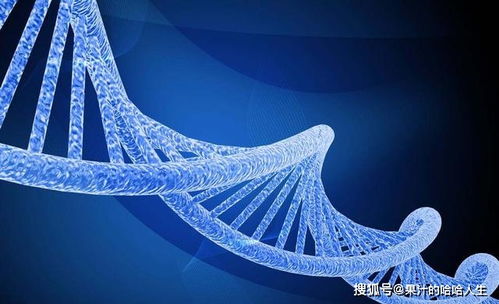 get_img?key=695ce7399ed2ff4c0ca02067