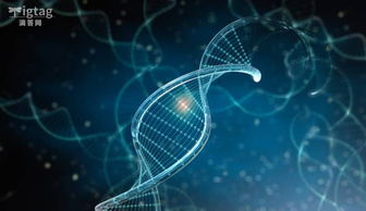 get_img?key=695ce7399ed2ff4c0ca02069