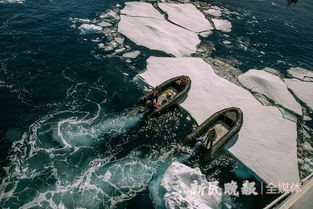 get_img?key=695ce7969ed2ff4c0ca029dc