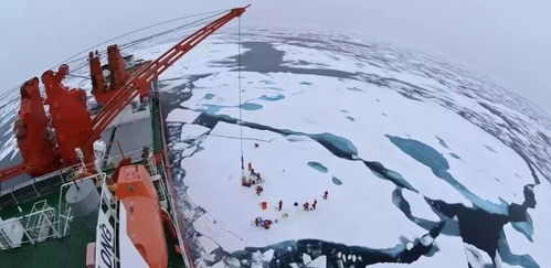 get_img?key=695ce7be9ed2ff4c0ca02dd1