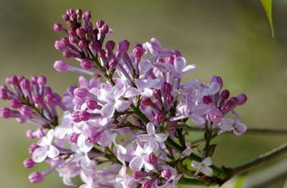 get_img?key=695ce7cc9ed2ff4c0ca02f80