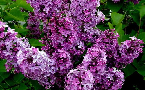 get_img?key=695ce7cc9ed2ff4c0ca02f83