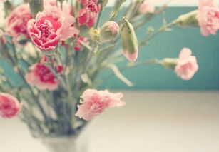 get_img?key=695ce8079ed2ff4c0ca0351a