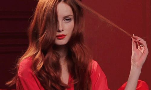 get_img?key=695ce82c9ed2ff4c0ca0385b